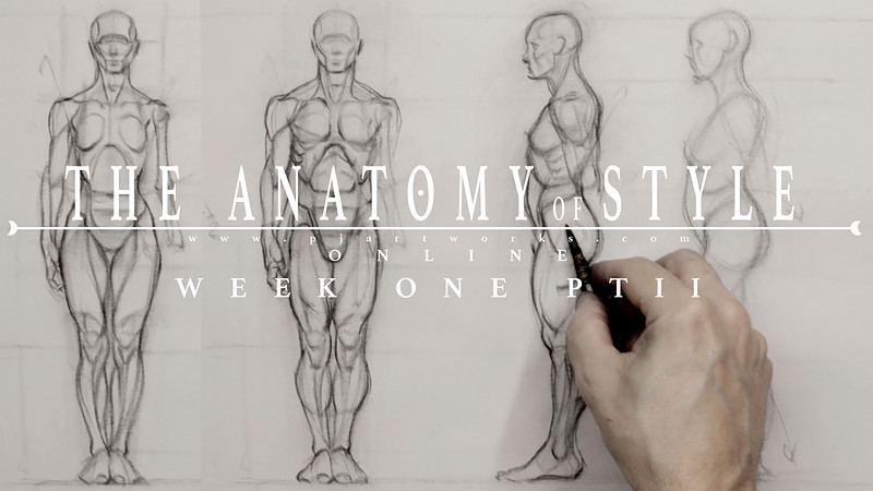 Proko - Drawing Male vs Female Figures