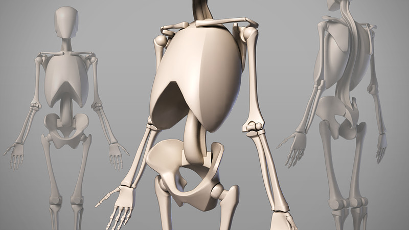 Proko - 3D Model of Robo Skelly