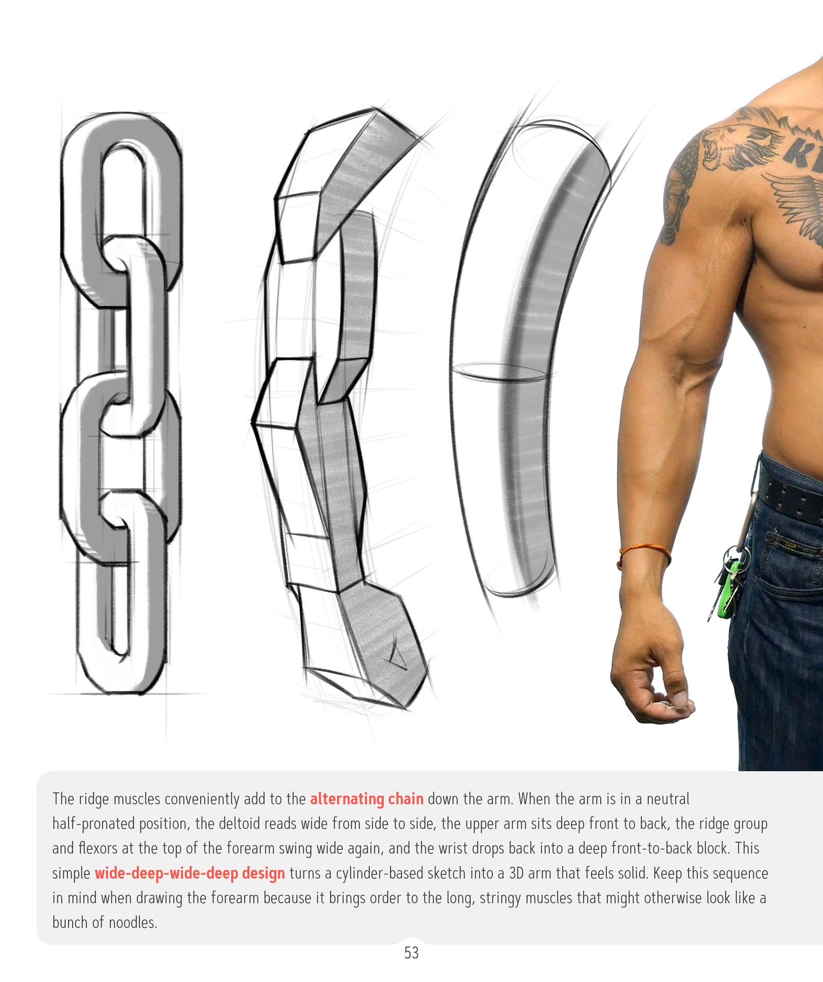 Proko - How to Draw Hand Anatomy eBook