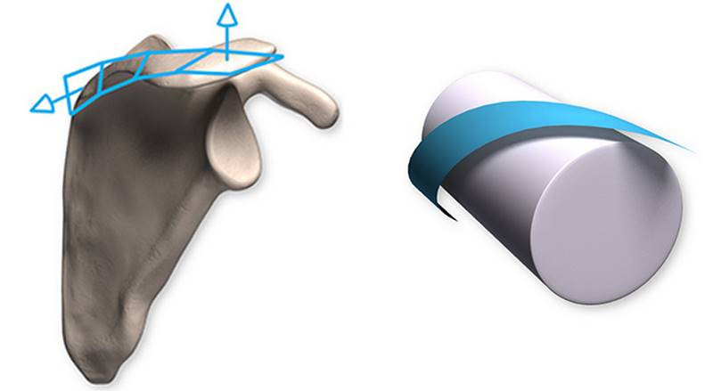 Proko - Anatomy of the Shoulder Bones
