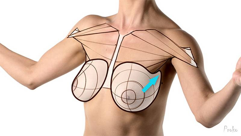 Proko - How to Draw Breasts Form & Motion Proko - How to Draw Breasts Form & Motion