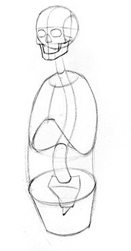 Anatomy-of-the-spine