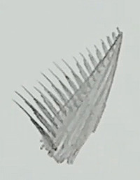 example 2 circle coming from shadow