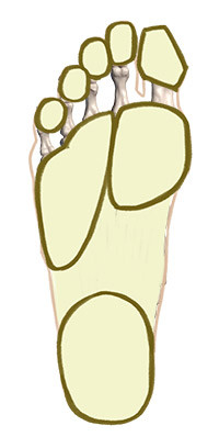 drawing a simplified foot in a box