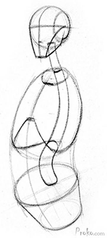 how to draw the spine three major masses