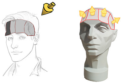 planes of the head 2