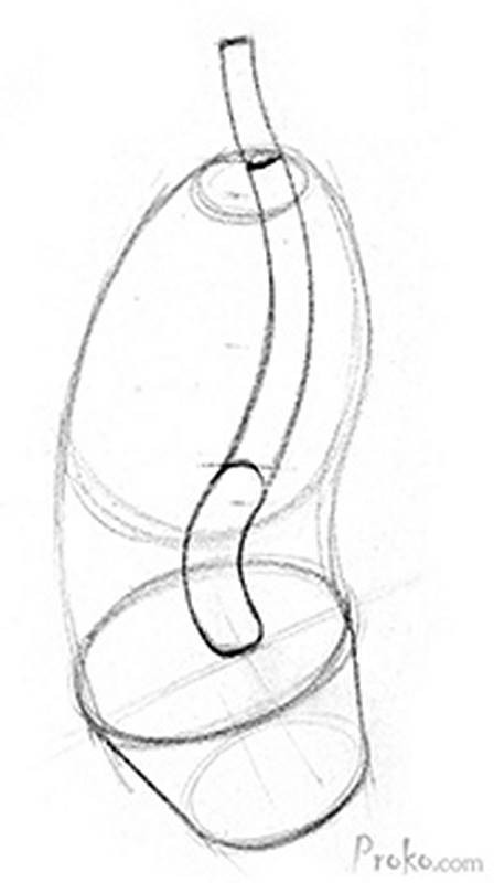 how to draw the spine pelvia and ribcage