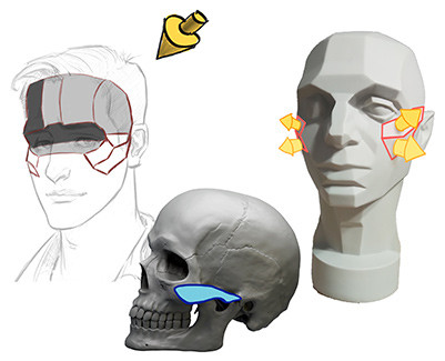 planes of the head 4