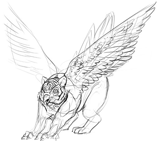 owl griffin