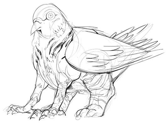 pigeon griffin
