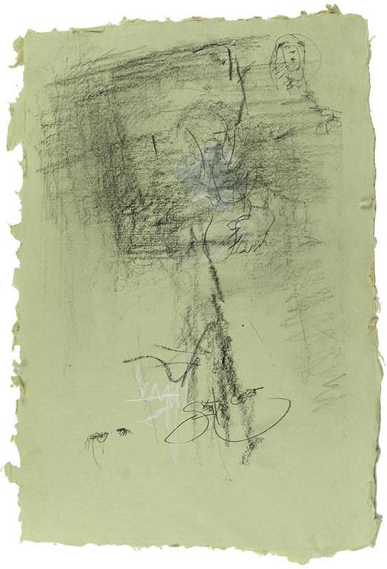 Cesar Santos blindfold challenge result