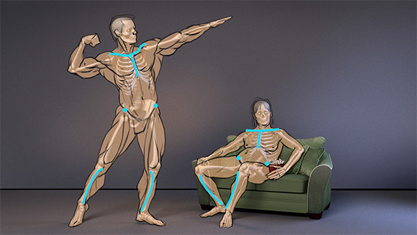 Human figure with muscles showing landmarks