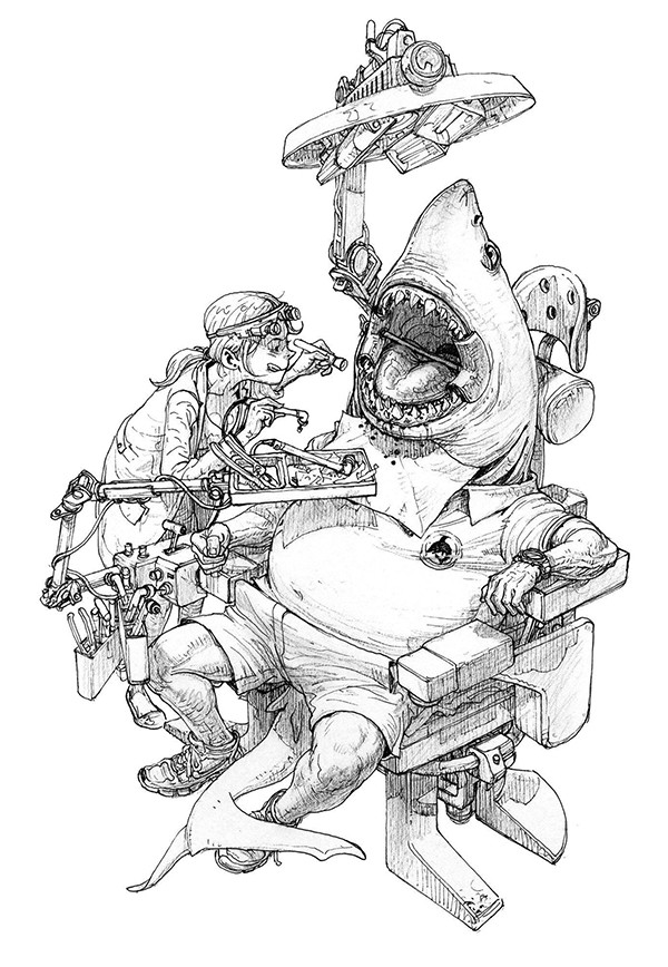 kim jung gi shark illustration