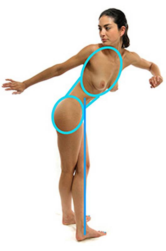 large masses hips and ribcage