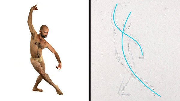 longest axis in each form