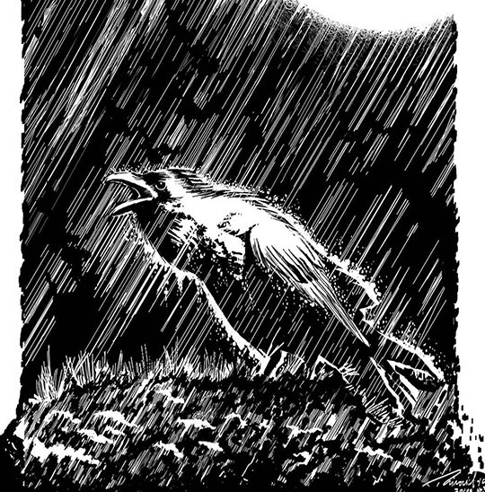 rivailmartinezgoncalves art