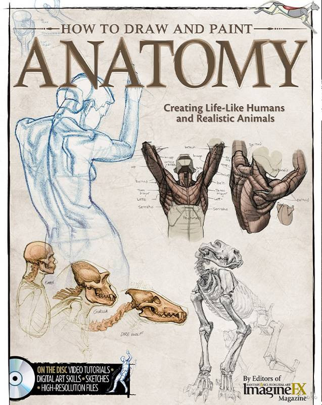 how to draw and paint anatomy