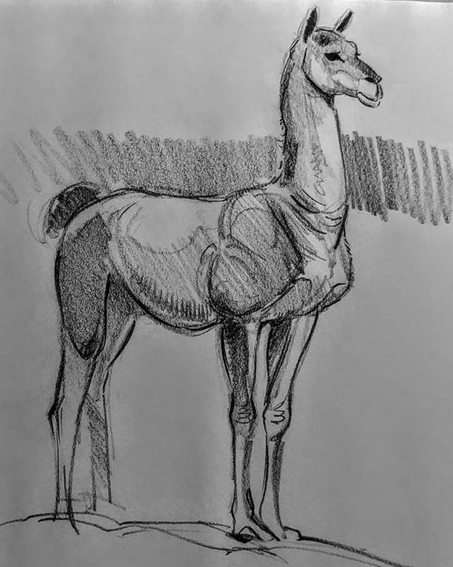 aaron blaise sketch llama