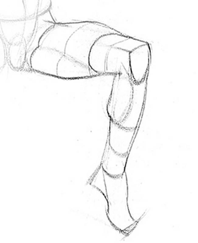 boxy form of the knee planes