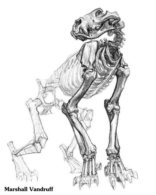 REPLACE THIS WITH IMAGE KEYWORDS