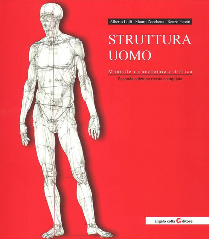 struttura uomo