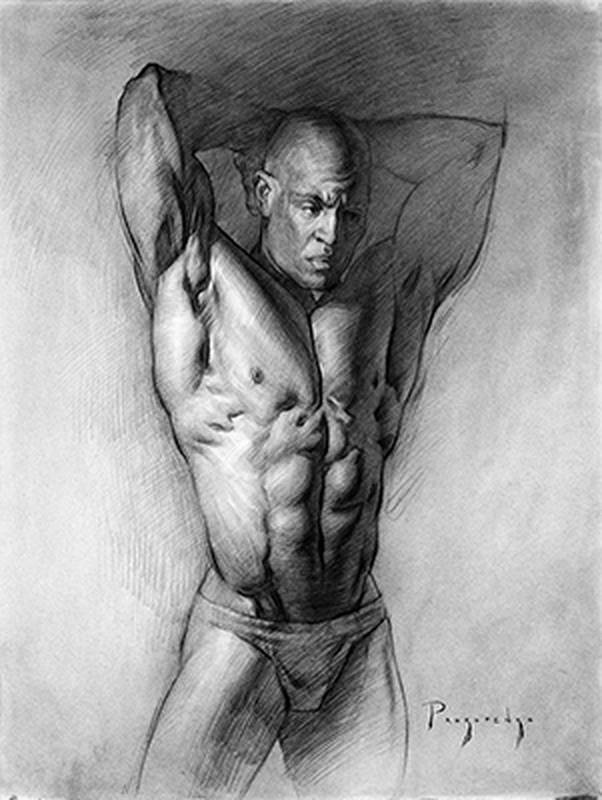 torso anatomy drawing final portfolio piece