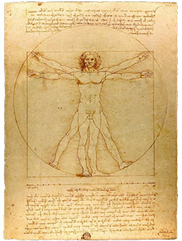 vitruvian man leonardo da vinci