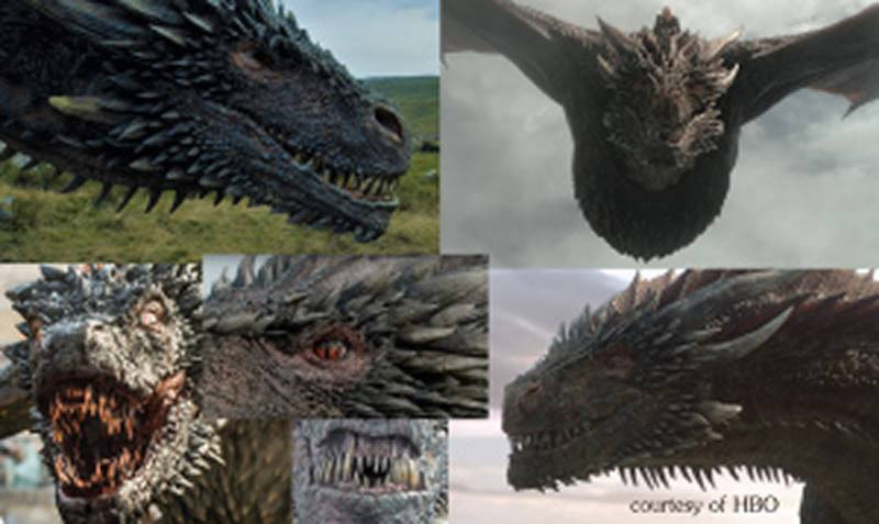 dragon references