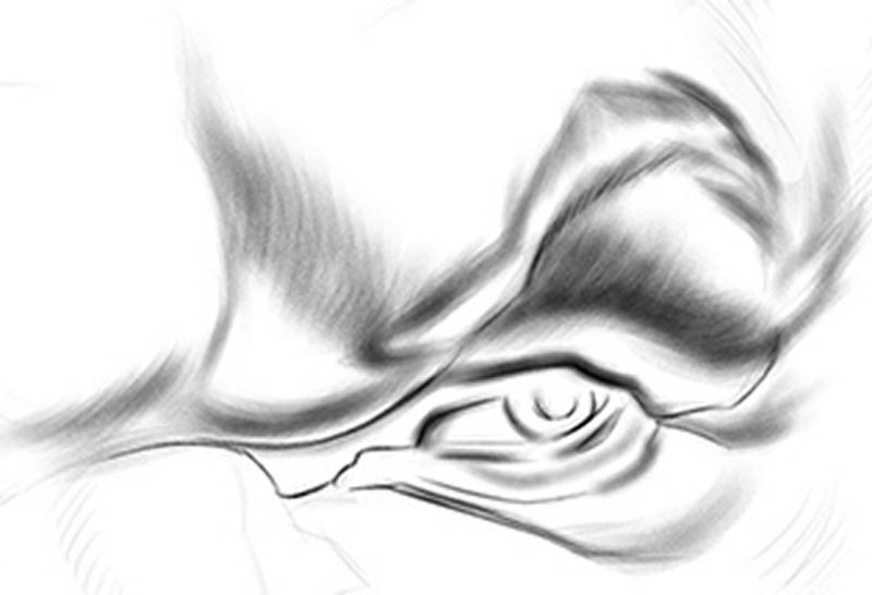 john c reilly caricature eye line