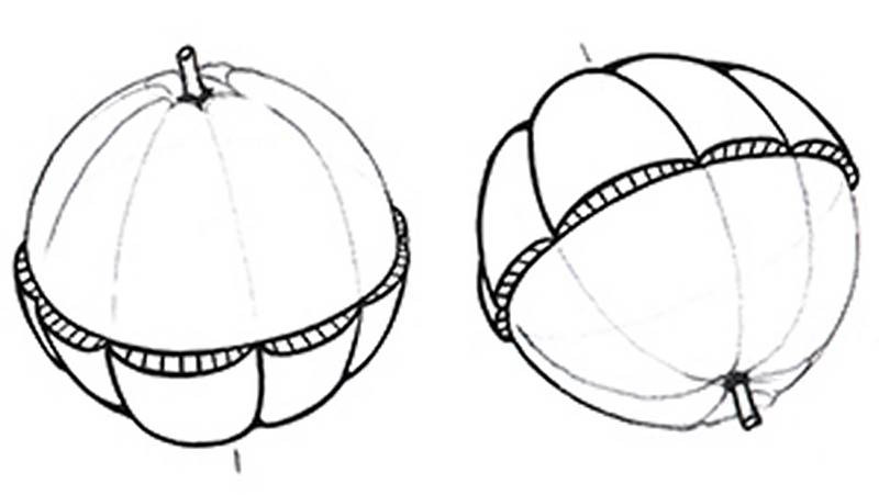 halloween perspectibe tricks half spheres pumpkin cutout