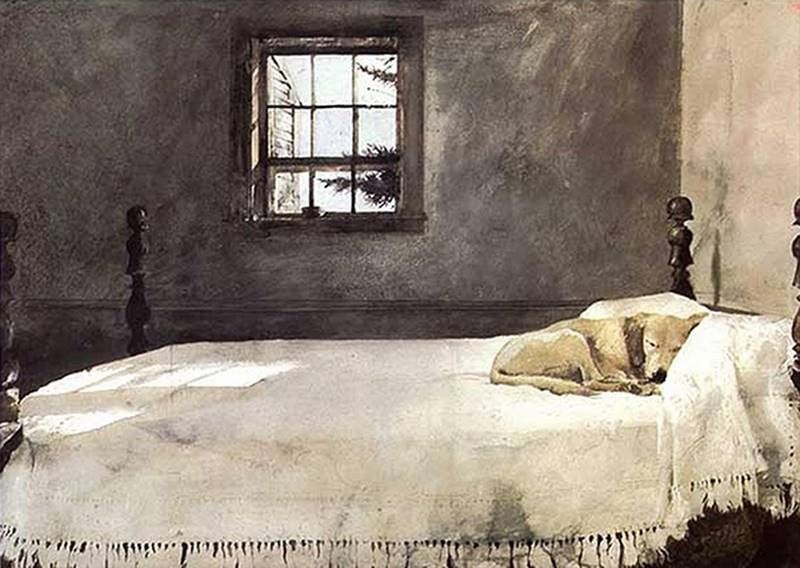 andrew wyeth sleeping dog