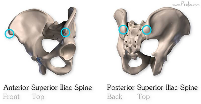 anterior poster superior iliac spine