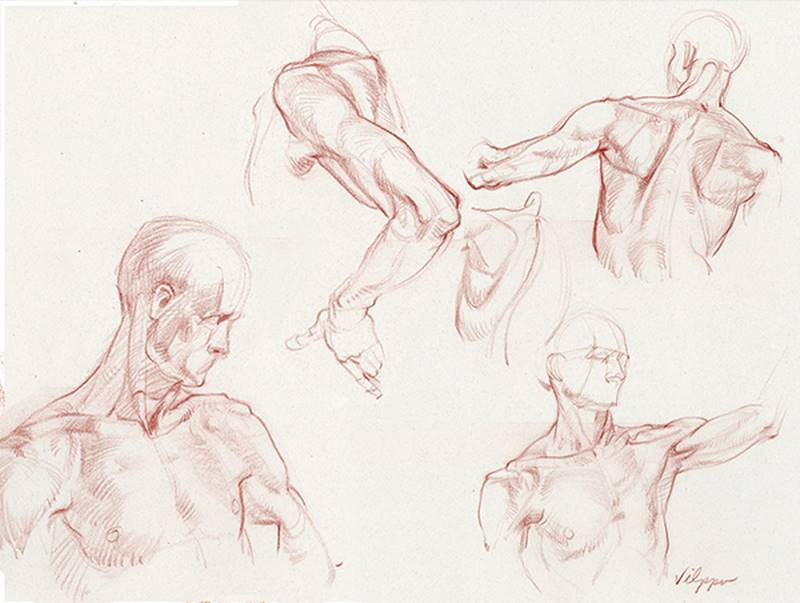 glenn vilpuu figure drawing
