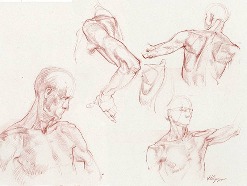 glenn vilppu male figure