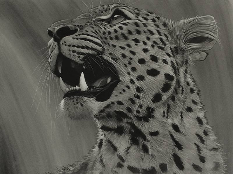 aaron blaise leopard