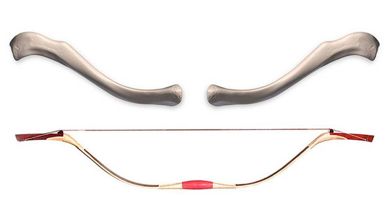 clavicle bow
