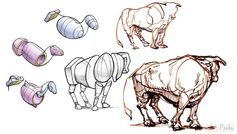 bull shapes