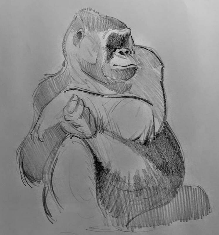 aaron blaise sketch gorilla 1