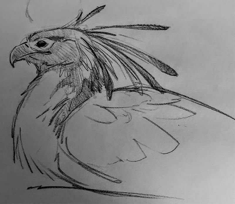 aaron blaise sketch hawk