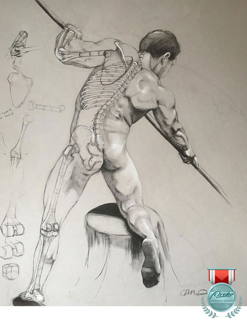 anatomical study award amr1514