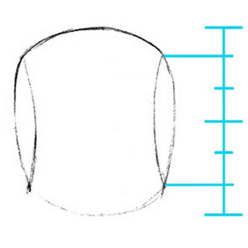 angles of the head front