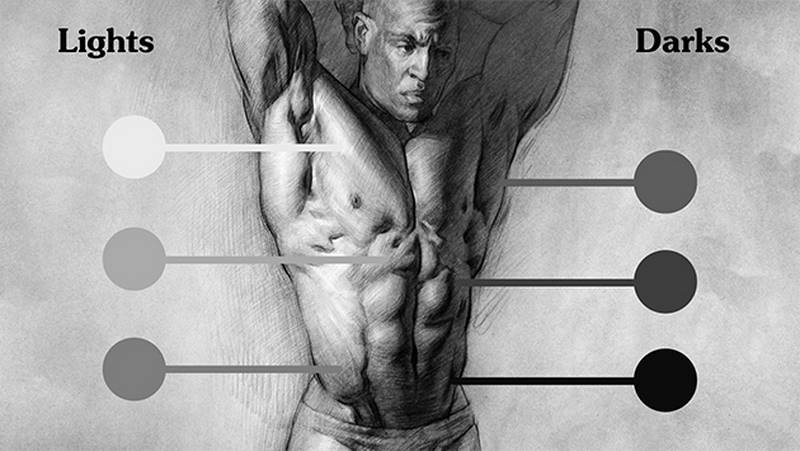 anthony lightest dark darker than darkest light