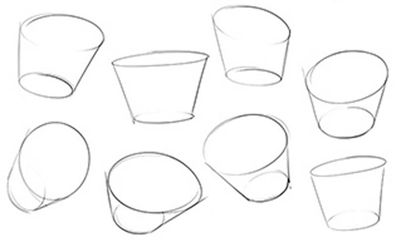 pelvis anatomy bucket