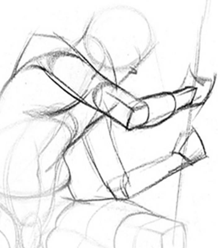 cross contour curves on the cylinder