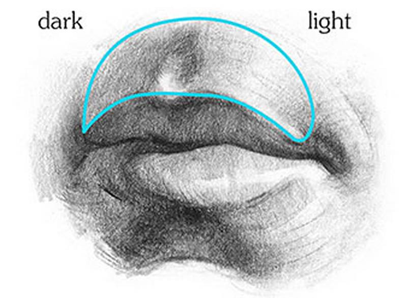 dark and light upper lip