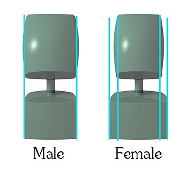 difference between male female ribcage pelvis