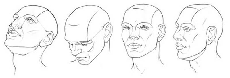 draw the head from any angle