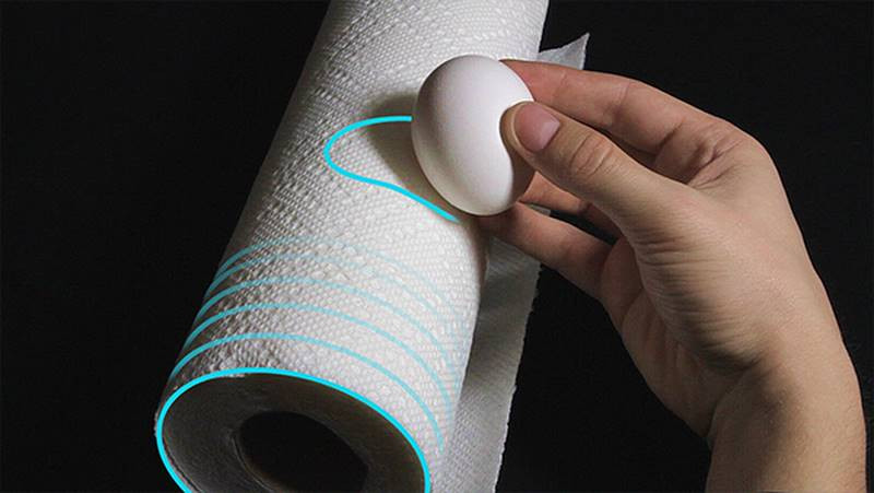 egg cast shadow on paper towel roll