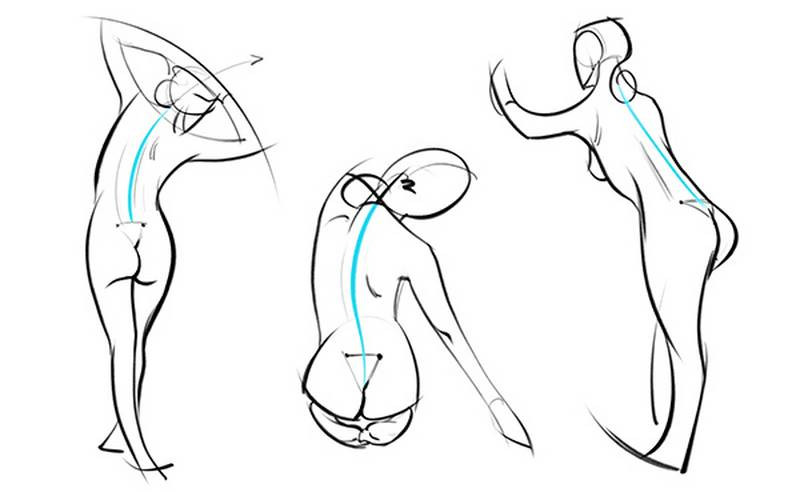 erector spinae csi gesture anatomy drawing