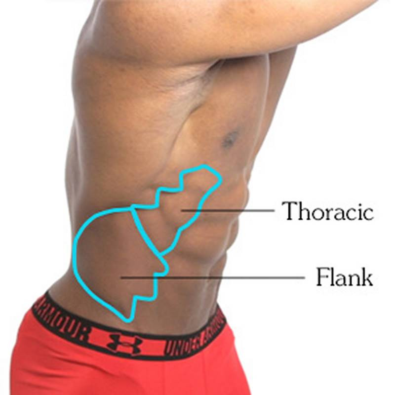 external oblique thoracic and flank portions